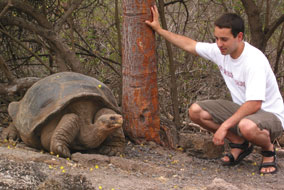 Michael Russello and colleagues from Yale found evidence of genetic diversity among tortoises of the Galapagos Islands
