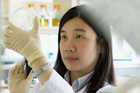 Pharmaceutical Sciences professor Judy Wong - photo by Martin Dee
